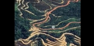 Walhi Bongkar Deforestasi Masif Sumut Lewat Citra Satelit, Bantah Klaim Bobby soal Cuaca Ekstrem